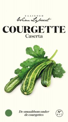 Courgette Caserta - Wim Lybaert Zaaigoed