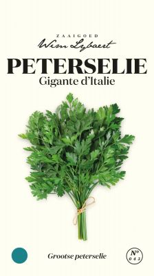 Peterselie Gigante D'Italie - Wim Lybaert Zaaigoed