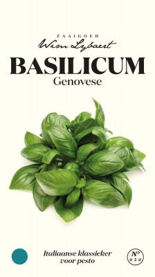 Basilicum Genovese - Wim Lybaert Zaaigoed