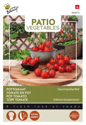 Buzzy Patio Veggies, Tomaat Gourmandise Red