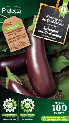 Aubergine van Barbentane - Protecta Traditionele Reproduceerbare Autenthentieke Zaden