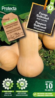 Pompoen Butternut - Protecta Traditionele Reproduceerbare Autenthentieke Zaden