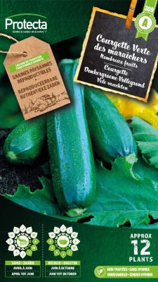 Courgette Donkergroene Vollegrond - Protecta Traditionele Reproduceerbare Autenthentieke Zaden