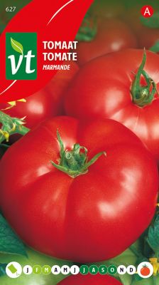 Tomaat Marmande