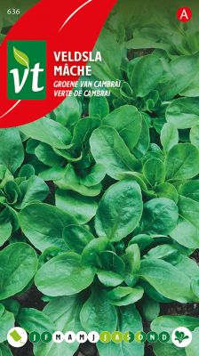 Veldsla Groene Cambrai