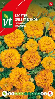 Tagetes Lage Oranje