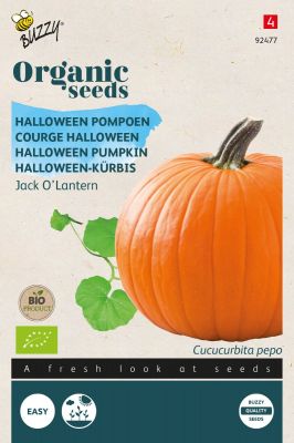 Buzzy Organic Pompoen Jack O'Lantern (BIO)