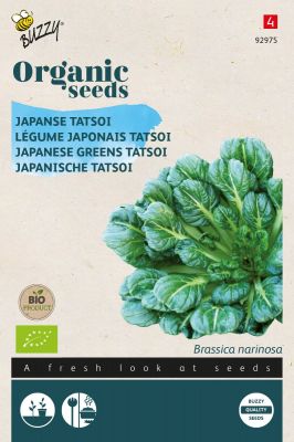 Buzzy Organic Tatsoi (BIO)