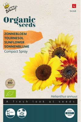 Buzzy Organic Helianthus, Zonnebloem Compact Spray(BIO)