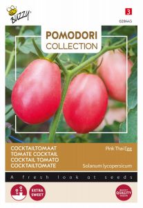 Buzzy Pomodori, Tomaat Pink Thai Egg