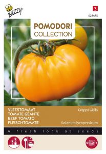 Buzzy Pomodori, Vleestomaat Grappa Gialla