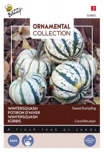 Buzzy Ornamental Wintersquash Sweet Dumpling