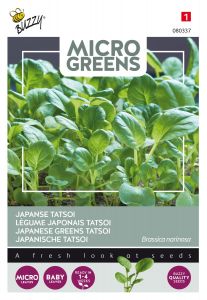 Buzzy Microgreens, Tatsoi