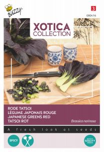 Buzzy Xotica Rode Tatsoi