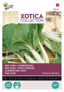 Buzzy Xotica Pak choi Chinese kool