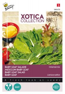 Buzzy Xotica Oriental mix, Baby Leaf mix