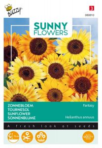 Buzzy Sunny Flowers, Zonnebloem Fantasy