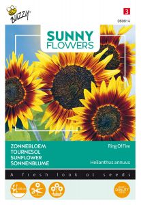 Buzzy Sunny Flowers, Zonnebloem Ring of Fire