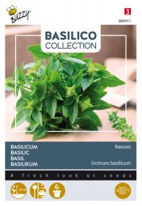 Buzzy Basilicum Bascuro