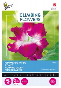 Buzzy Climbing Flowers, Ipomoea Dubbel Rose