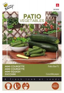 Buzzy Patio Veggies, Courgette Patio Star F1