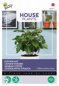 Buzzy House Plants Coffea Arabica, Koffieplant