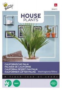 Buzzy House Plants Californische palm