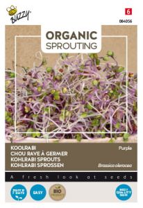 Buzzy Organic Sprouting Koolrabi blauwpaars (BIO)