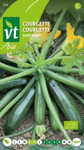 Courgette Black Beauty Bio