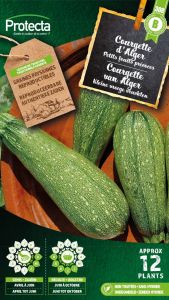 Courgette kleine groene van Alger - Protecta Traditionele Reproduceerbare Autenthentieke Zaden