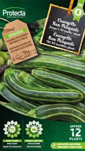 Courgette San Pasquale - Protecta Traditionele Reproduceerbare Autenthentieke Zaden