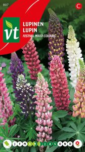 Lupine Mixed Colours