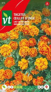 Tagetes Lage Oranje-Bruin