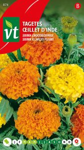 Tagetes Sierra Oranje-Geel