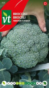 Broccolli Marathon F1 hybride