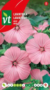 Lavatera Roze